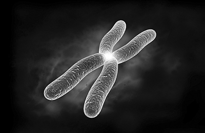胚胎实验室